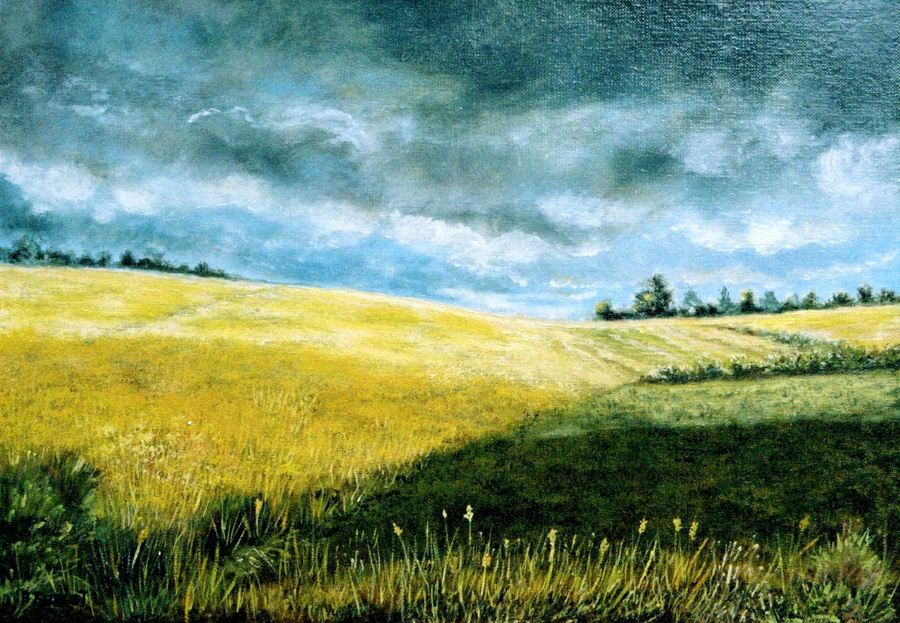 Été dans le Vexin